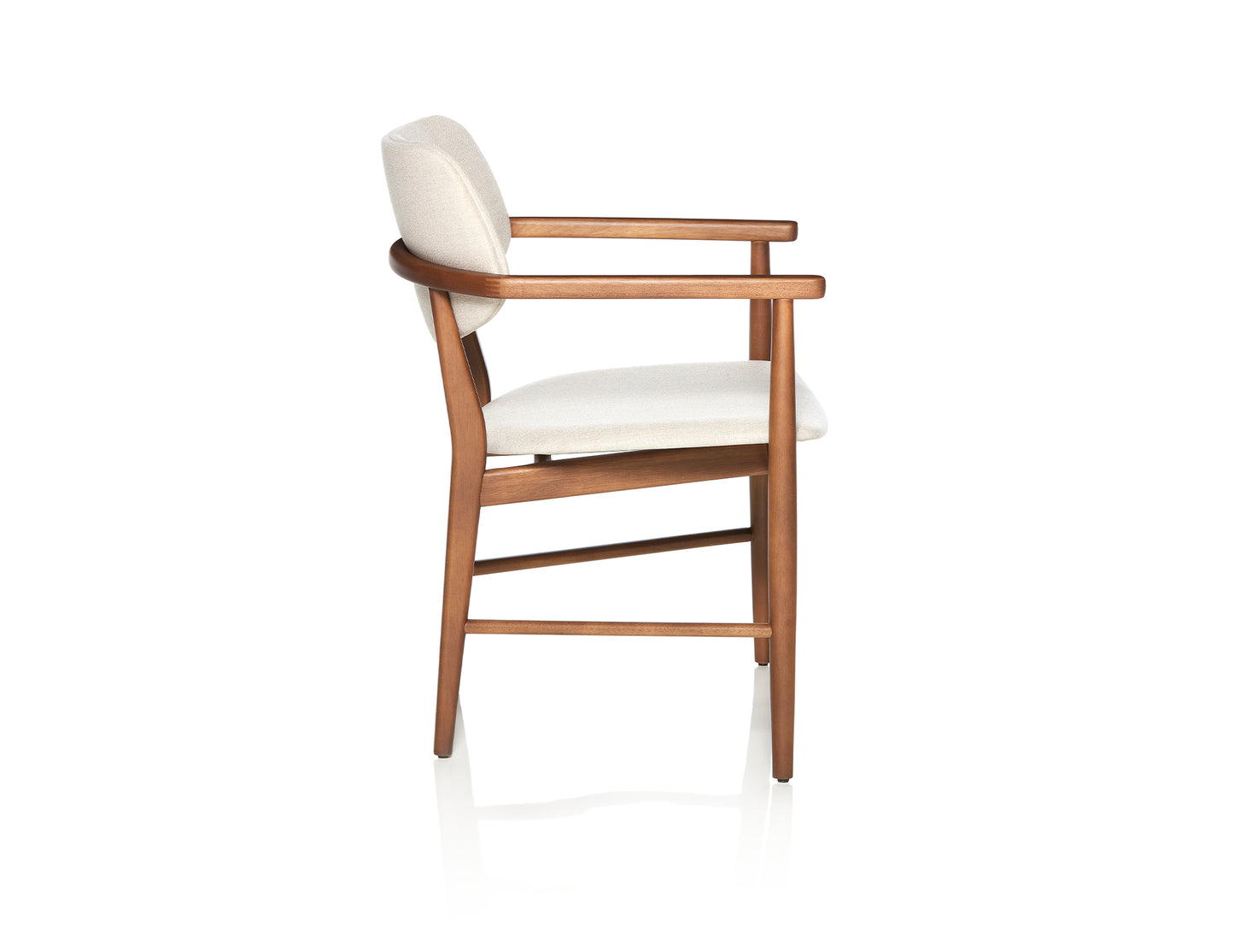 Tania Chair Collection - LUXUS MAISON