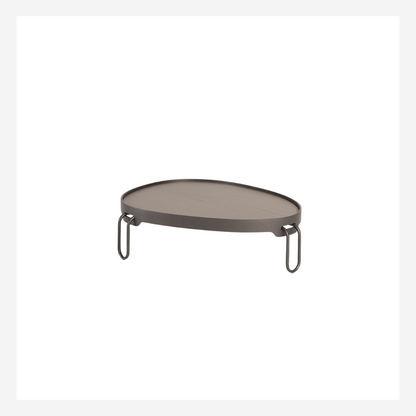 Amorfe Coffee Table