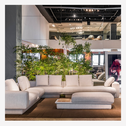Astro F. Sofa