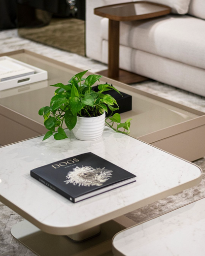 Platform Coffee Table