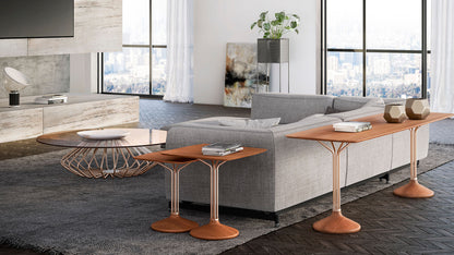 Agave Coffee Table