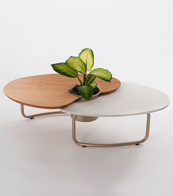 Efemera Coffee Table