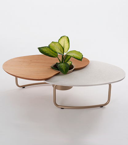 Efemera Coffee Table