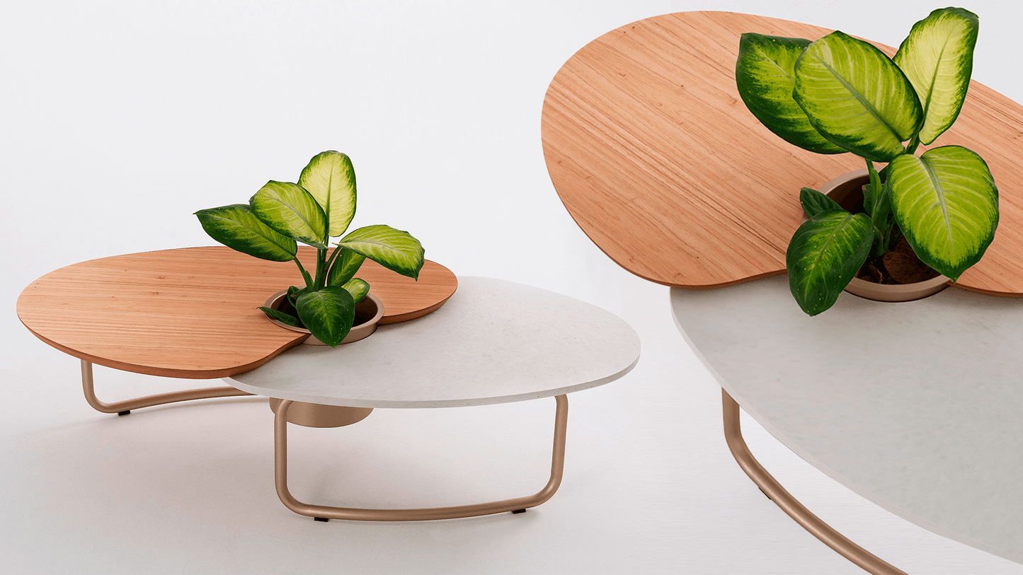 Efemera Coffee Table