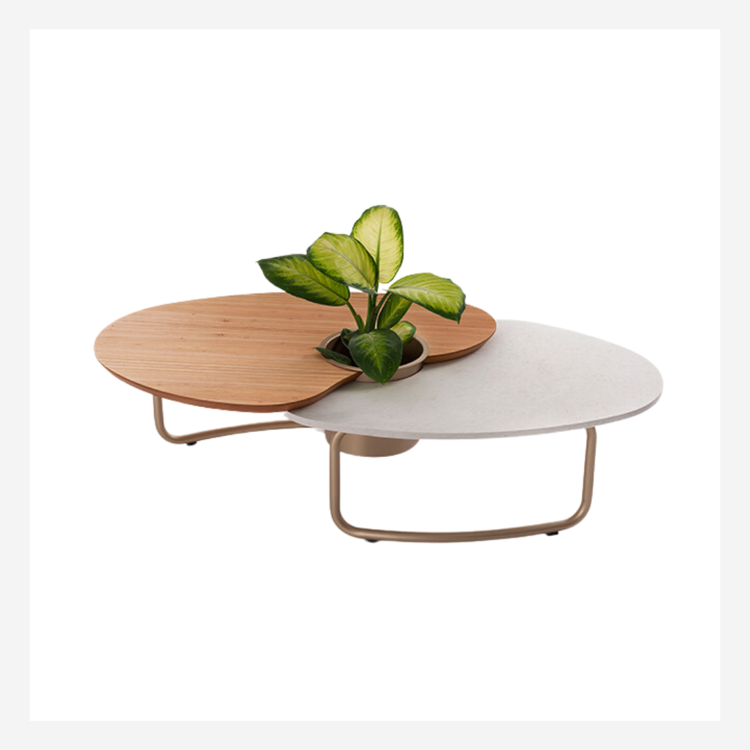 Efemera Coffee Table