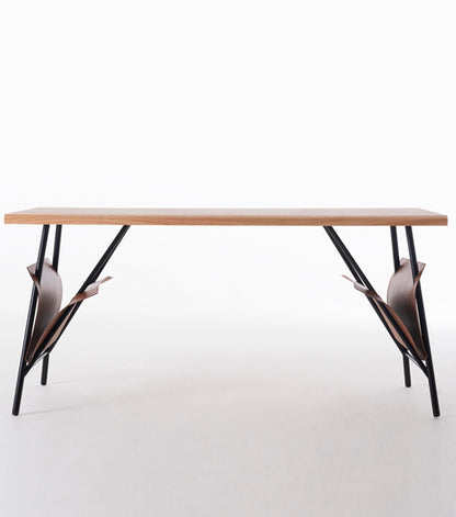 Fly Writing Desk